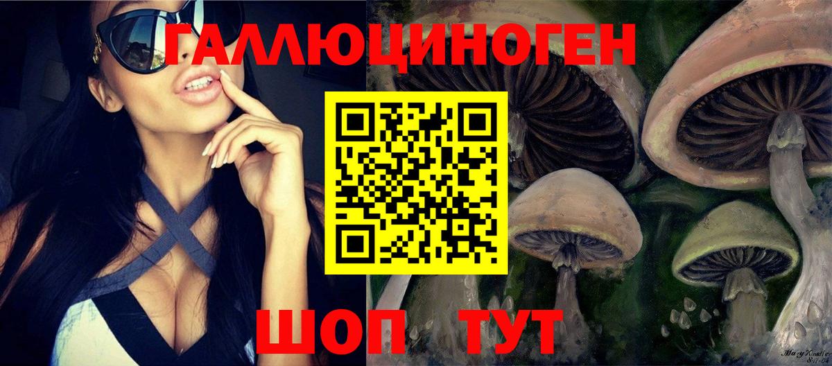 Галлюциногенные грибы ЛСД  Вход с VPN  Галлюциногенные грибы ЛСД  Дальнегорск 